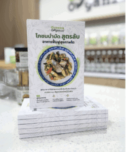 Green organic healthy salad recipe booklet eco-friendly food guide.