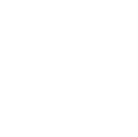 Fresh organic vegetables from Green & Organic in Thailand.