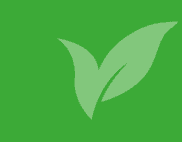 Organic green leaves logo representing natural health and eco-friendly products.