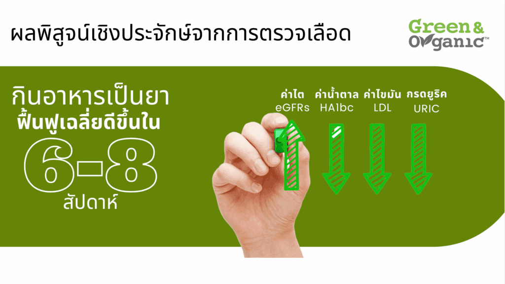 Fresh organic vegetables and fruits from Green & Organic in Thailand promoting healthy diet and sustainable farming.